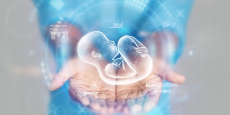 Fertility